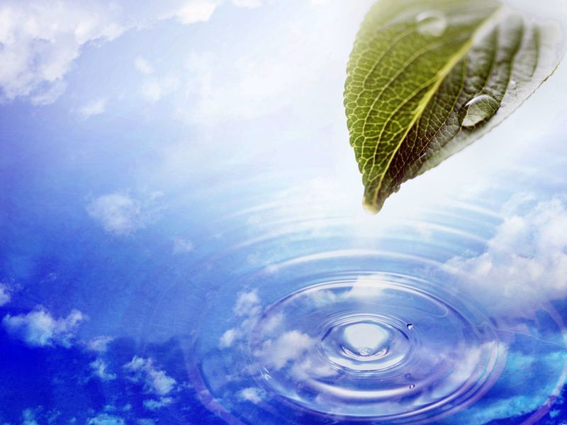 Baptism & Membership Sunday